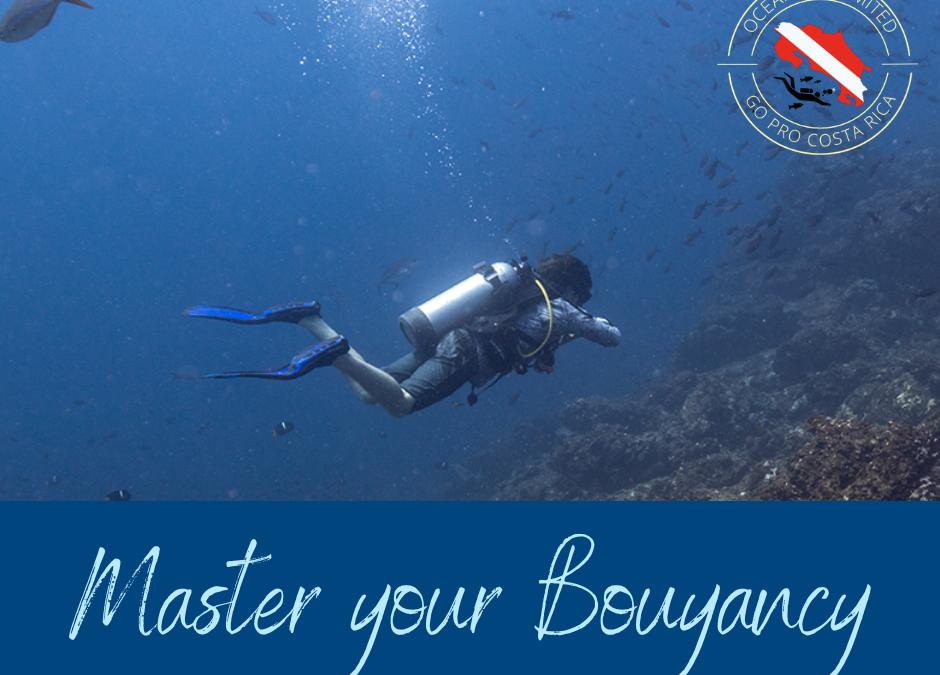 Master your Buoyancy Control: The Key to better Scuba Diving